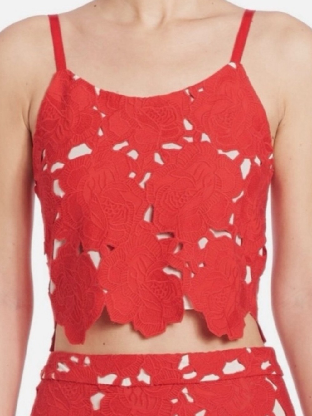 Alice + Olivia Lace Set